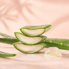 Aloe vera ingrediens